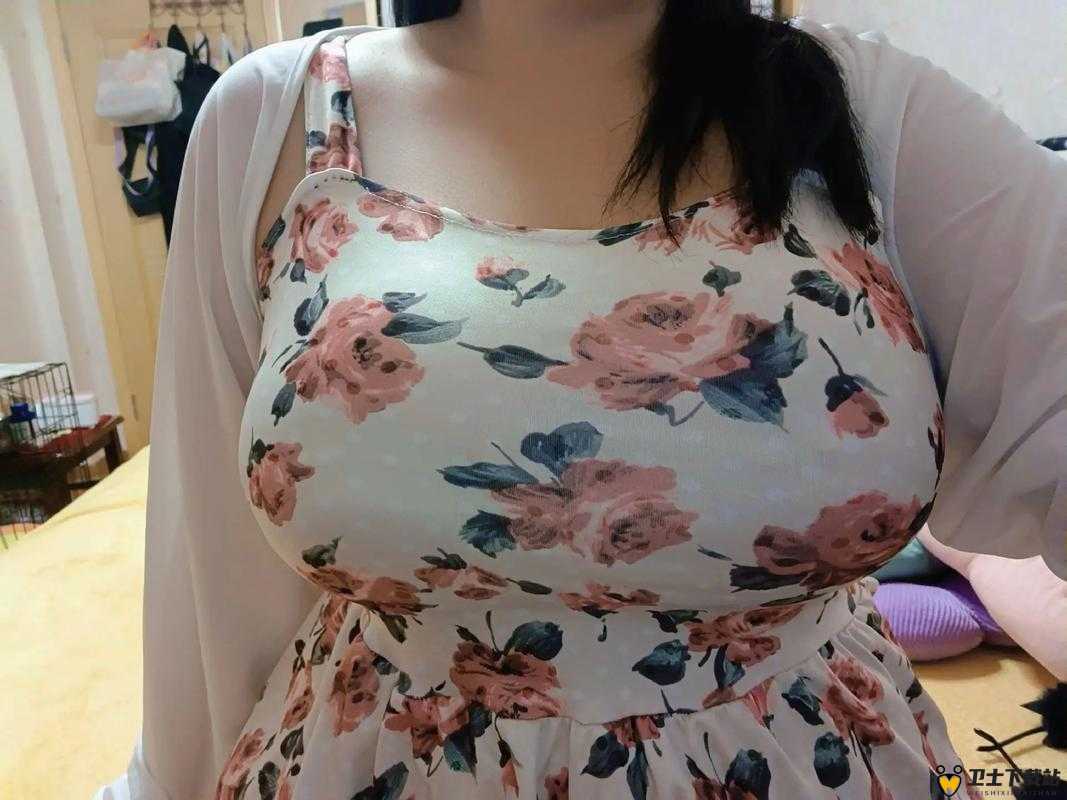 日本丰满 BBWBBwBBw：胖嘟嘟的她，用魅力征服世界