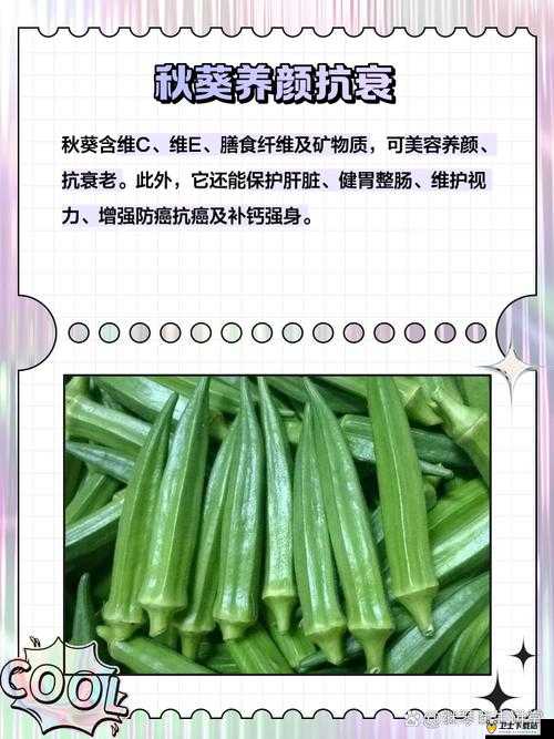 秋葵适合未满十八岁的人吃吗女生：有关食用安全性的探讨