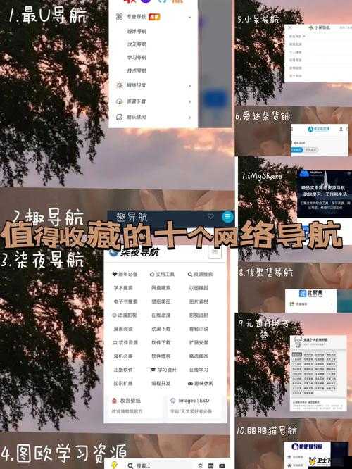 艳欲阁导航：资源聚集地，满足你的一切需求